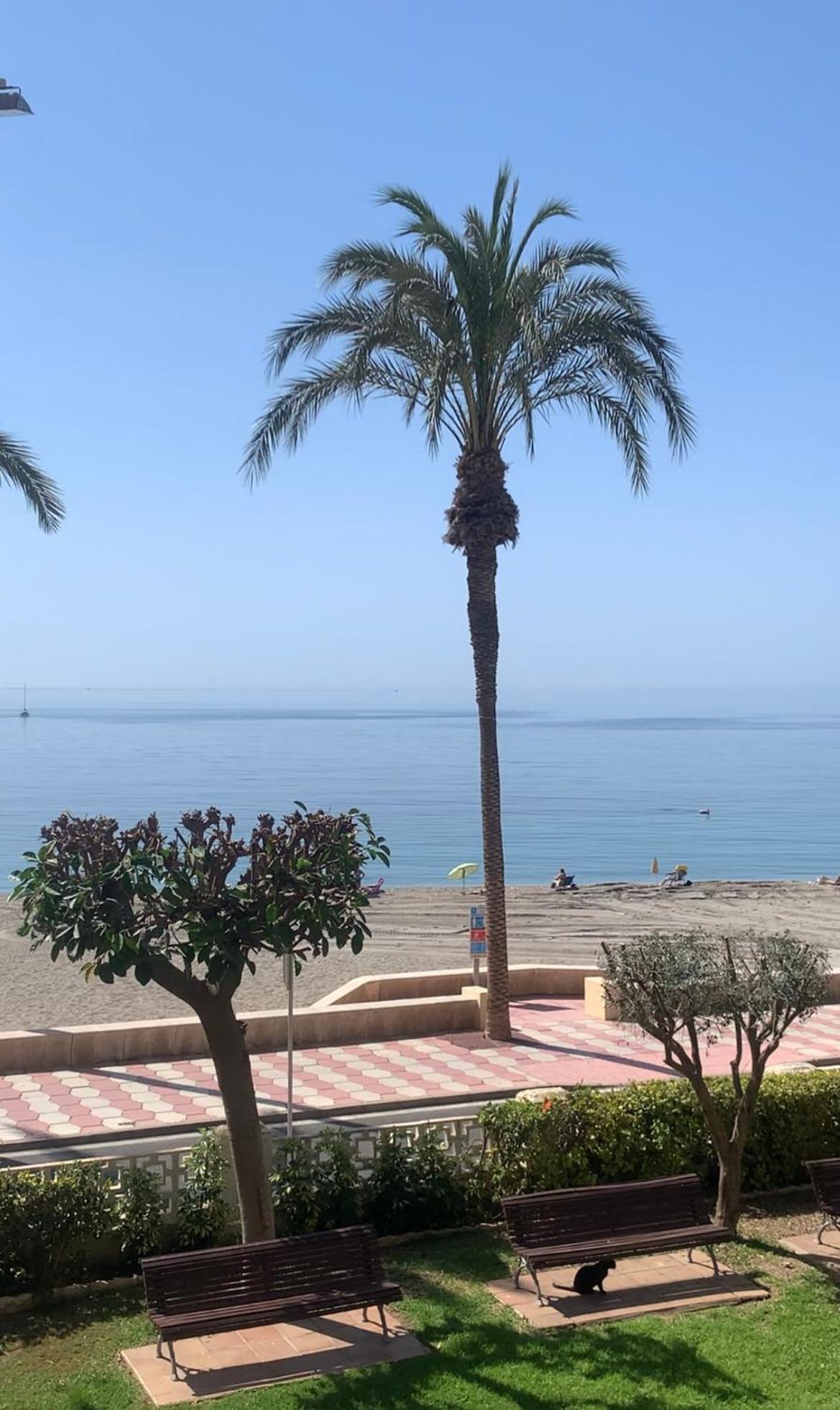 Brisas Del Mar Mediterraneo 阿瓜杜尔塞 外观 照片